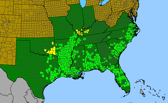 The range of Carya aquatica